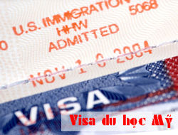 Các bước xin visa du học Mỹ